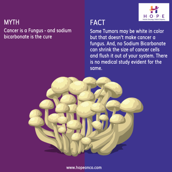 Imagedoor Cancer Myth vector 003
