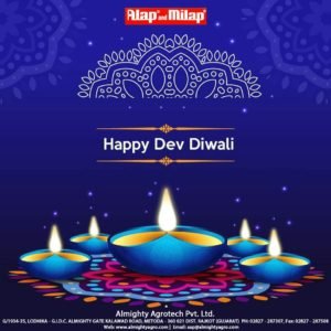 Imagedoor Dev Diwali vector 002